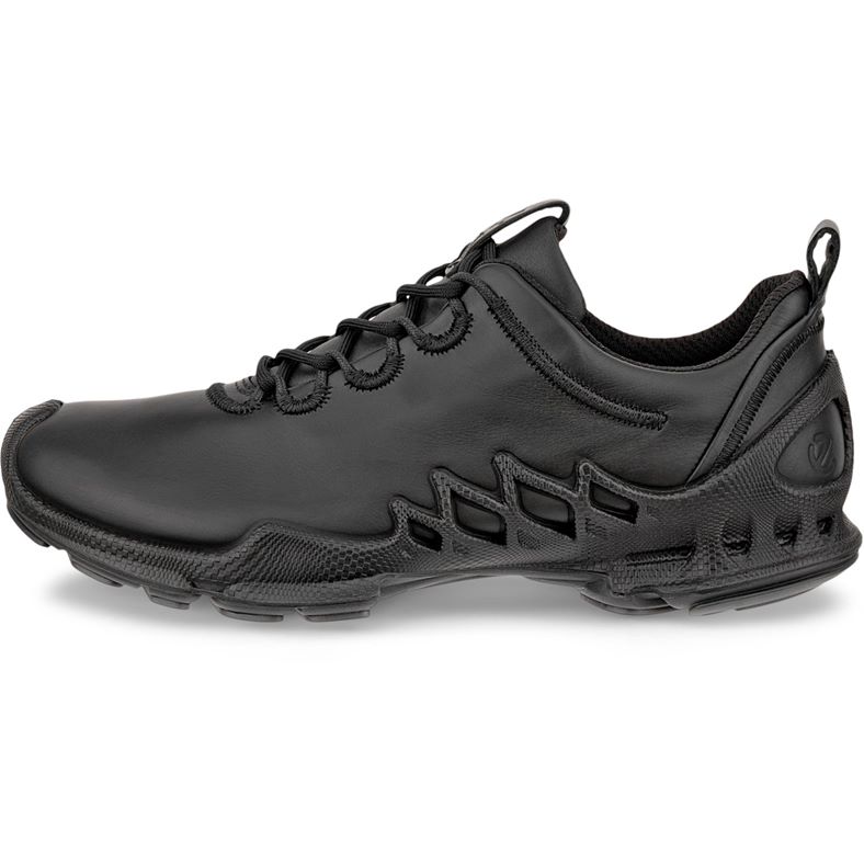 ecco biom aex m