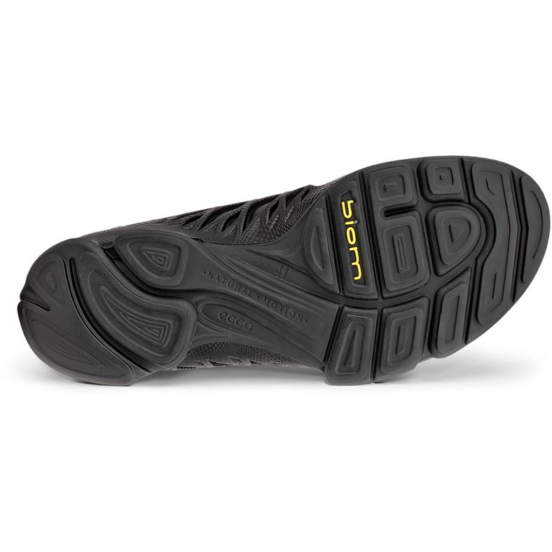 ecco biom aex m