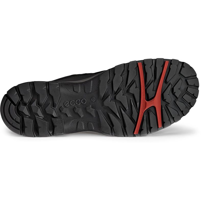 ecco xpedition iii m
