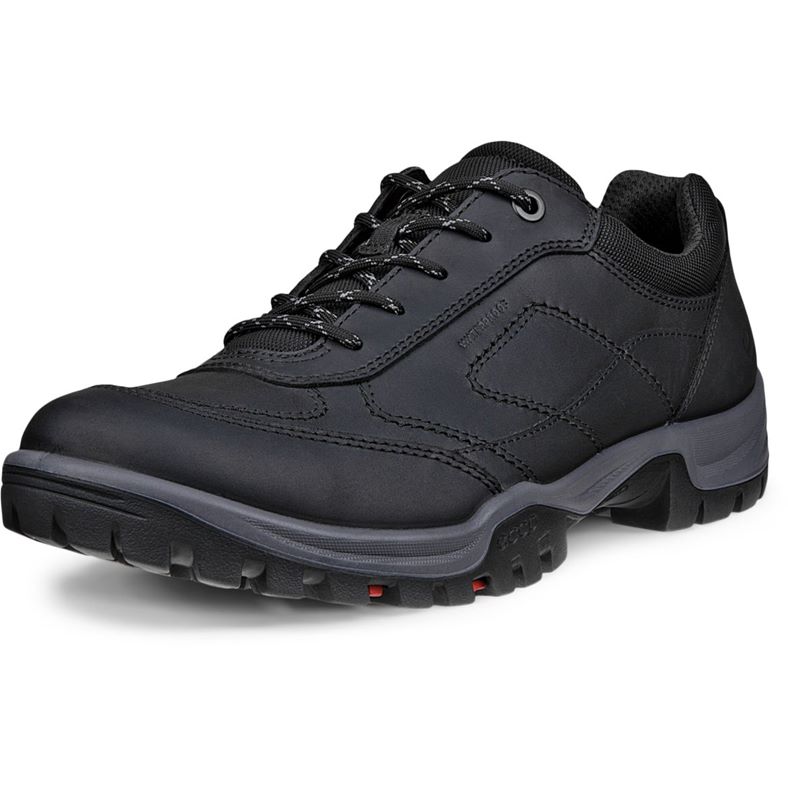 ecco xpedition iii m