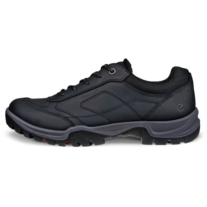 ecco xpedition iii m