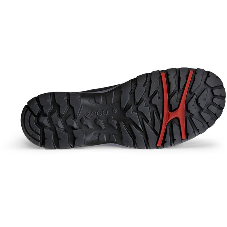 ecco xpedition iii m