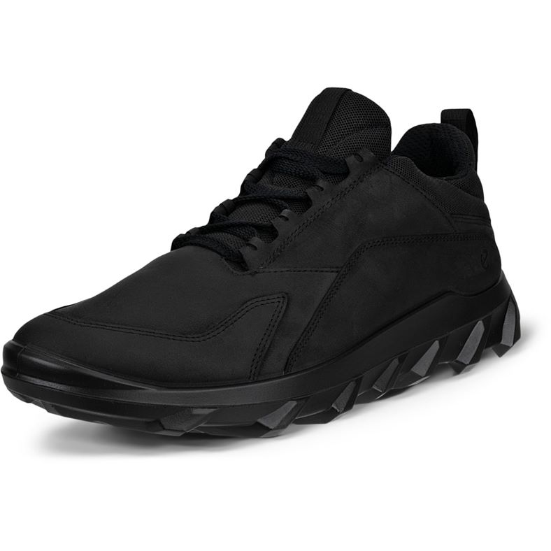 ecco mx m