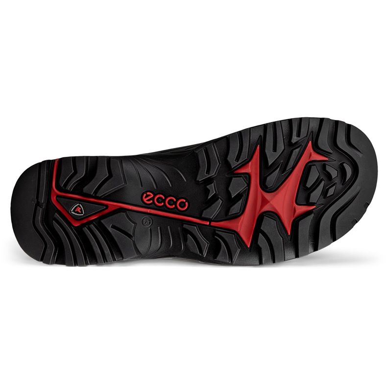 ecco offroad m