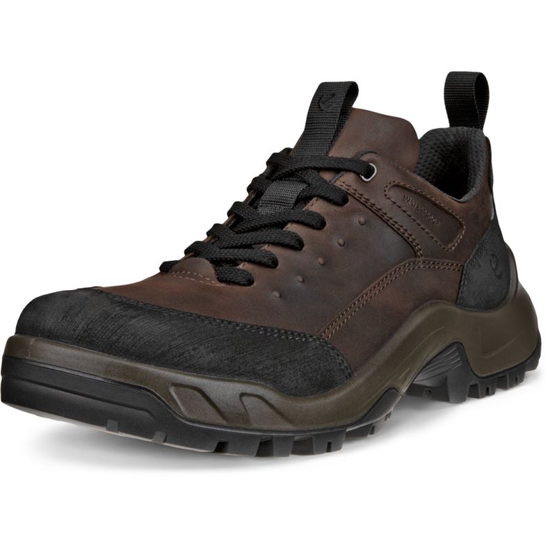 ecco offroad m