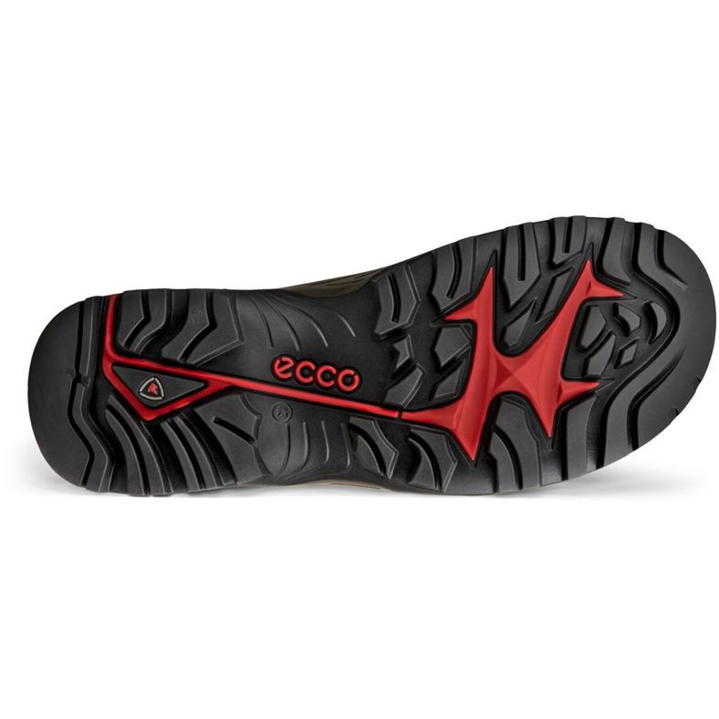 ecco offroad m