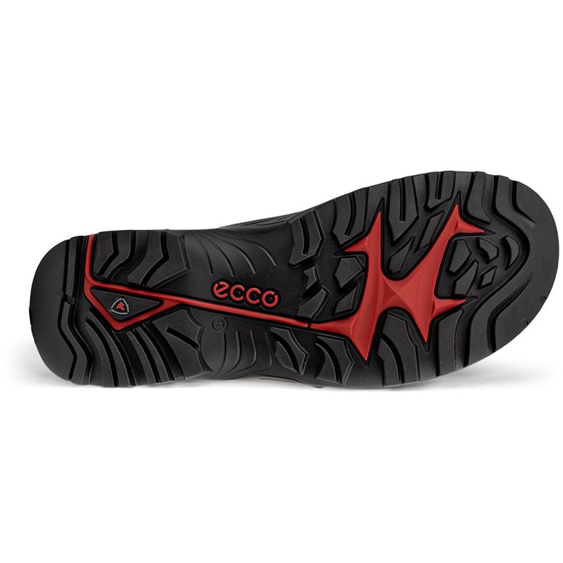 ecco offroad m
