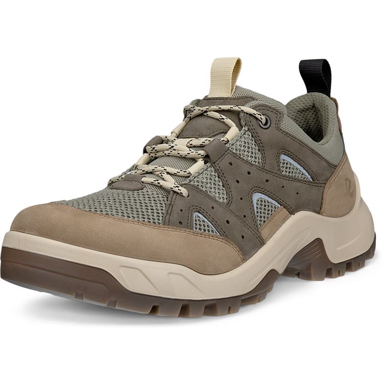 ecco offroad m