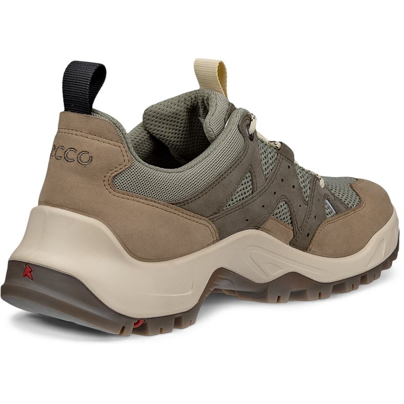 ecco offroad m