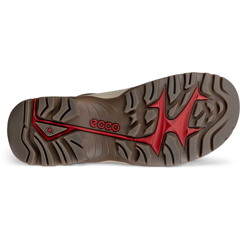 ecco offroad m