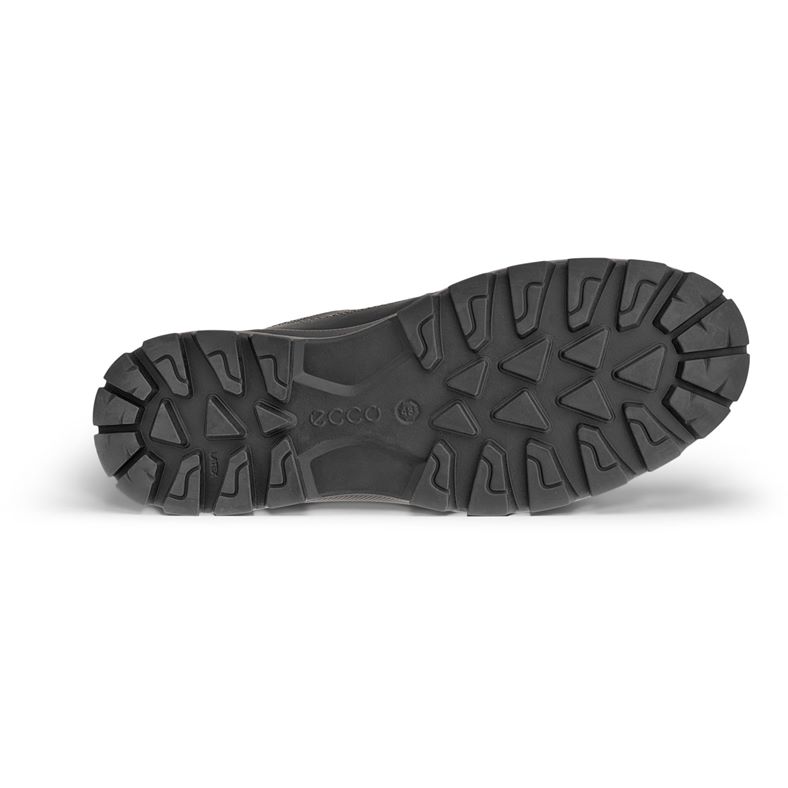 ecco rugged track