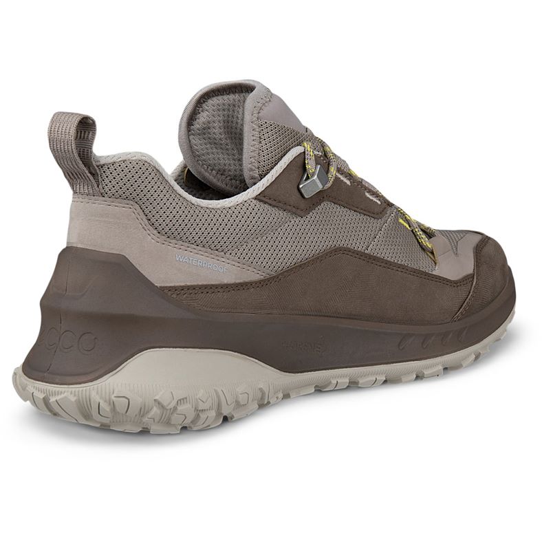 ecco ult-trn w