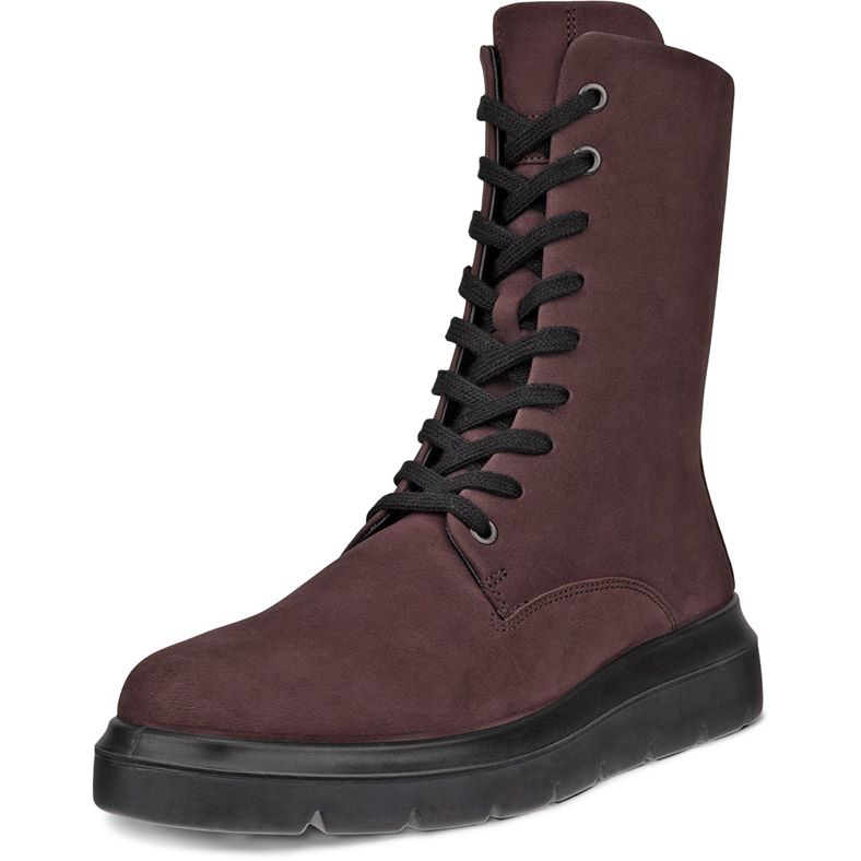 ecco nouvelle
