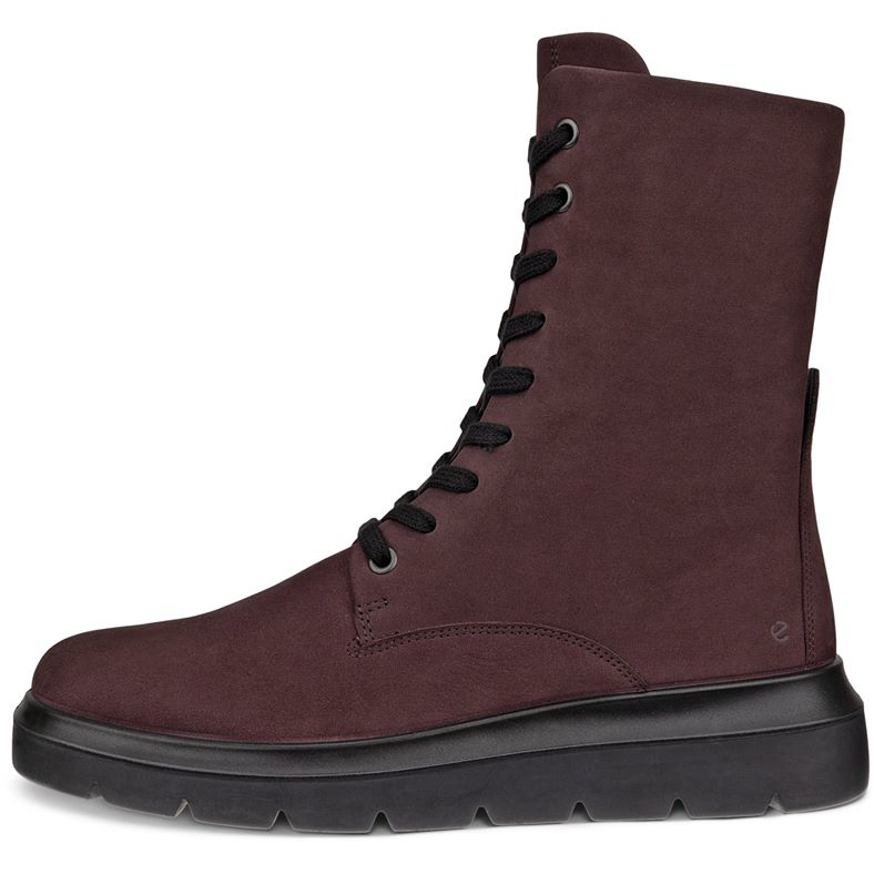 ecco nouvelle