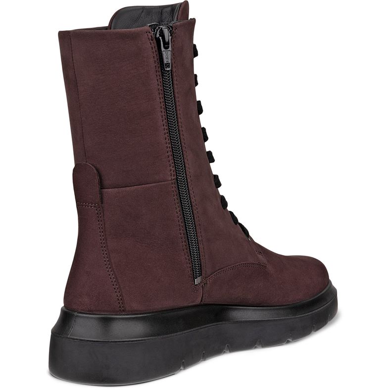 ecco nouvelle