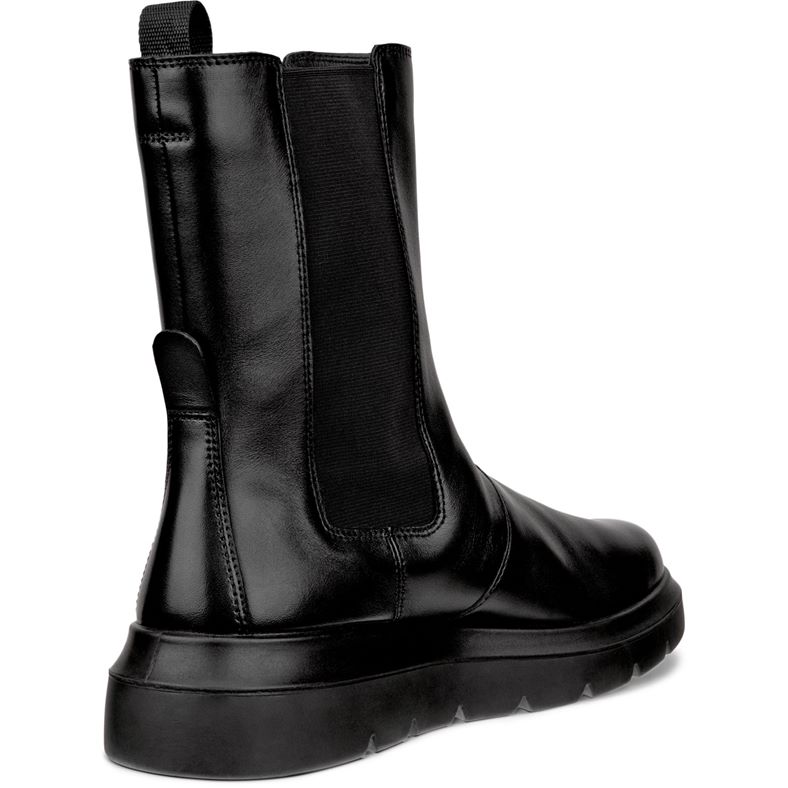 ecco nouvelle