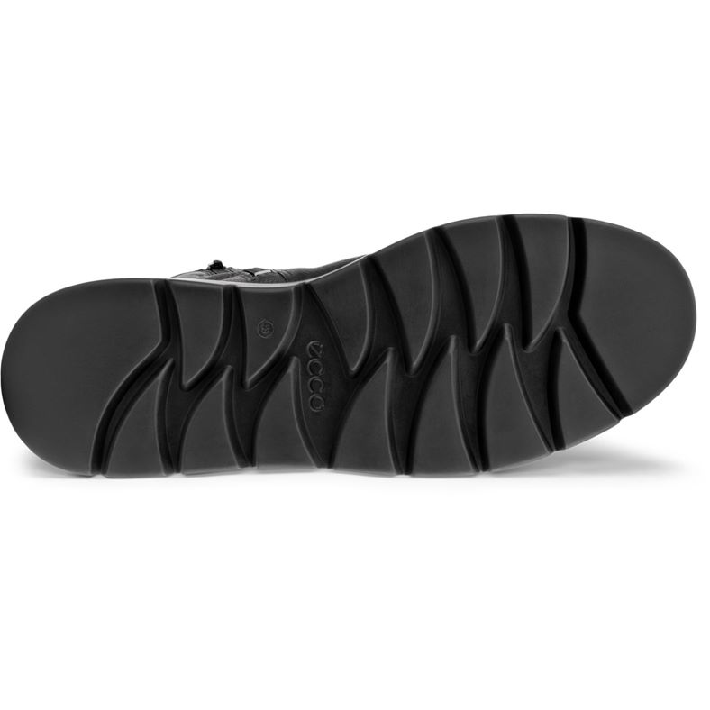 ecco nouvelle
