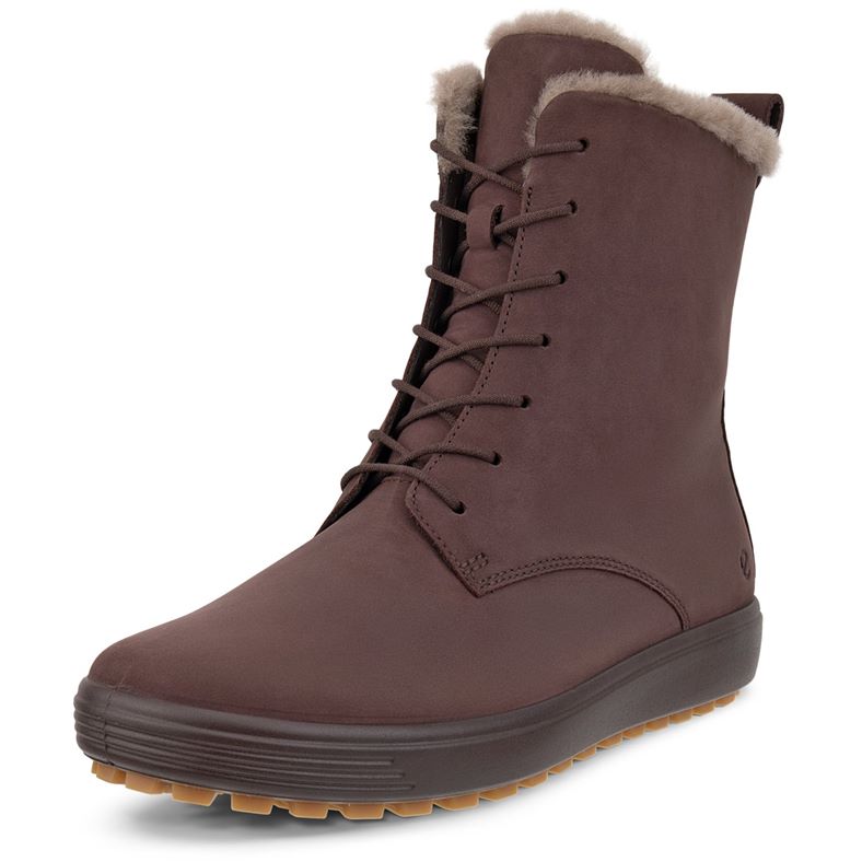 ecco soft 7 tred w