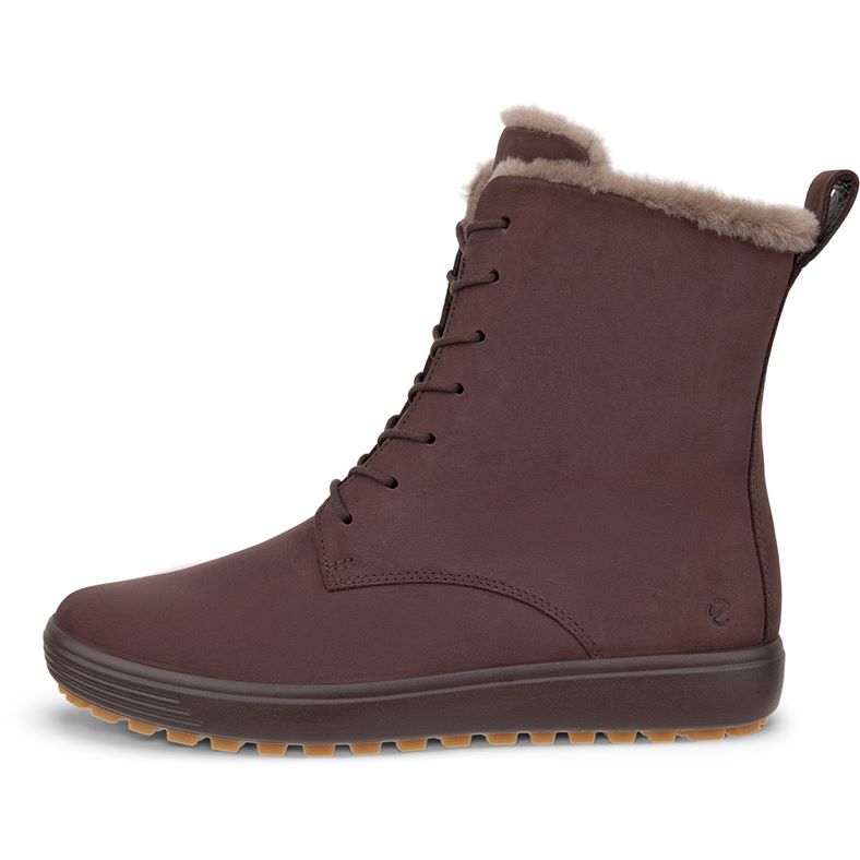 ecco soft 7 tred w