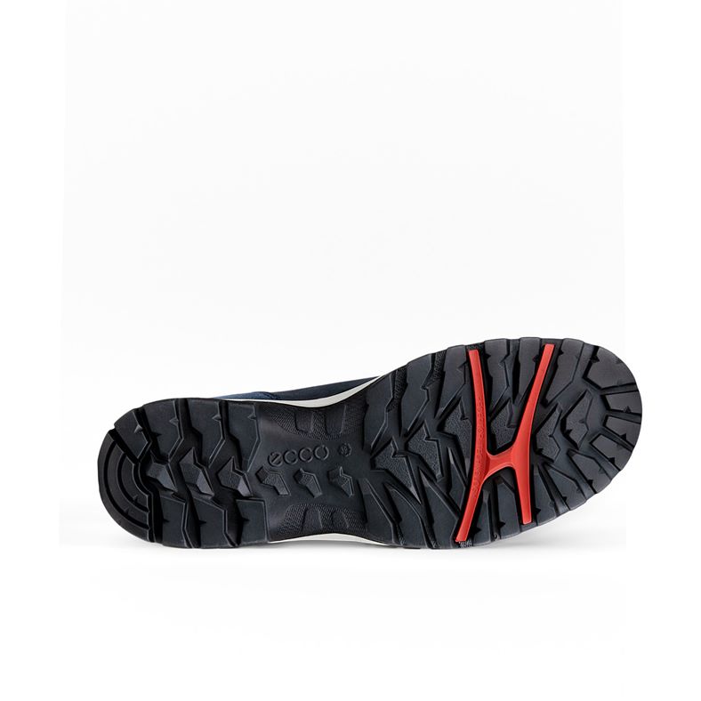 ecco xpedition iii w