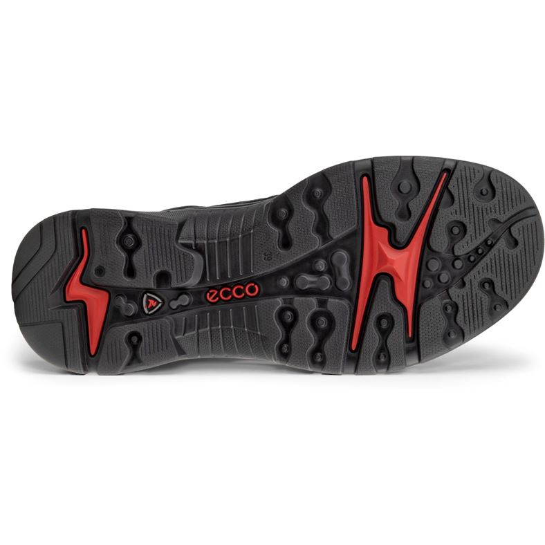 ecco offroad w