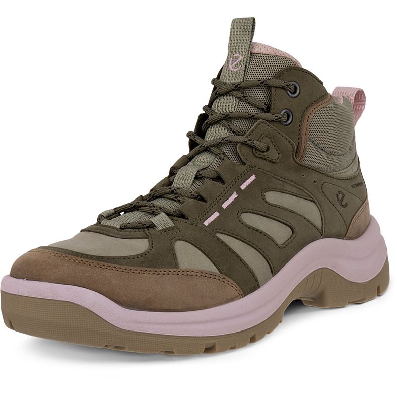 ecco offroad w