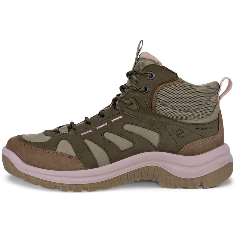 ecco offroad w