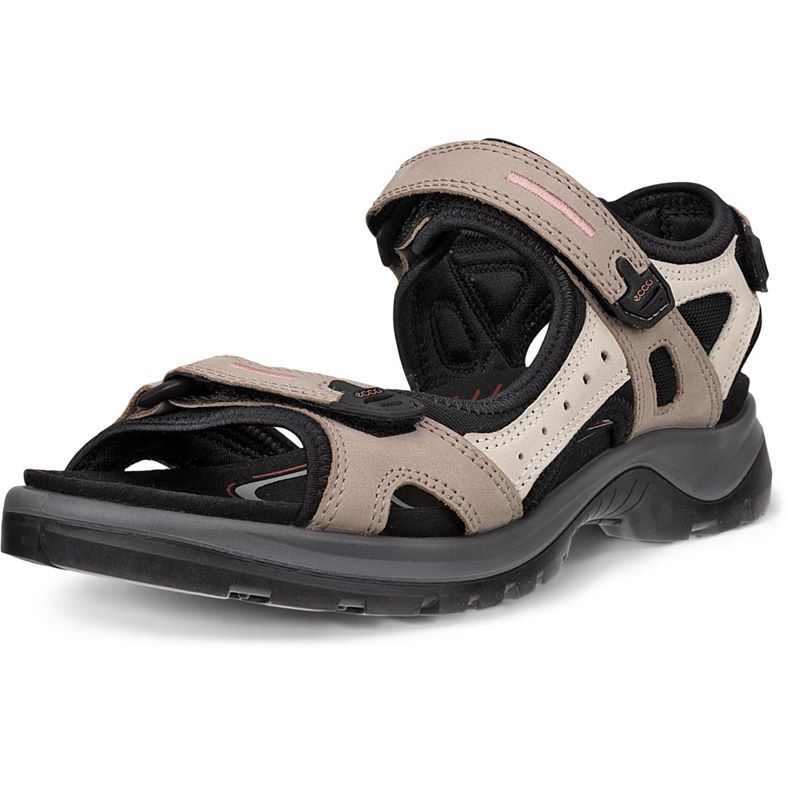 ecco offroad