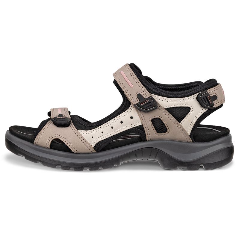 ecco offroad