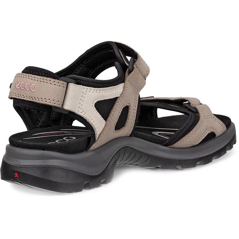 ecco offroad