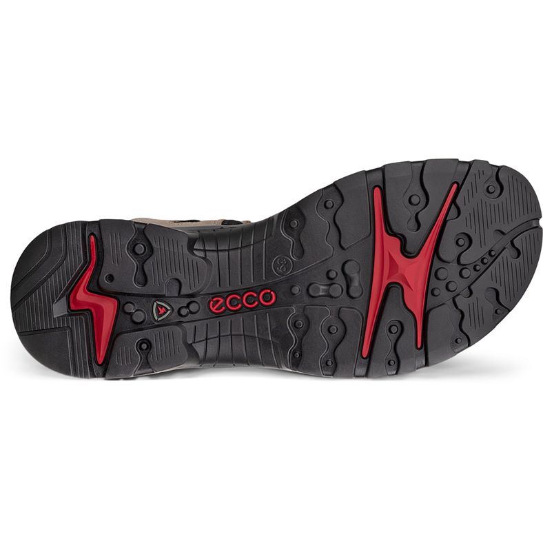 ecco offroad